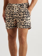 OAS - Straight-Leg Short-Length Leopard-Print Swim Shorts - Brown