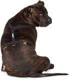 See Scout Sleep Black The Scot Extra Large Original Harness