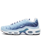 Nike W Air Max Plus Sneakers in Antarctica/Midnight Navy/Black