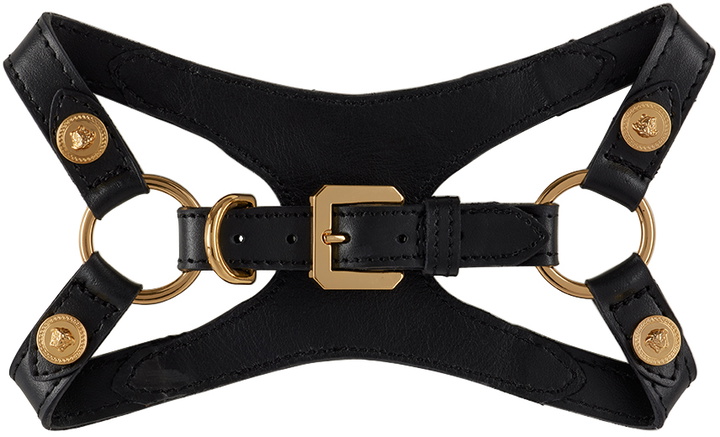 Photo: Versace Pets Black Medusa Studs Harness