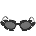 Loewe Eyewear Paula's Ibiza Flower Sunglasses in Black 