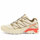 Salomon XT-PATHWAY 2 Sneaker in Rainy Day/Stone Gray/Cherry Tomato