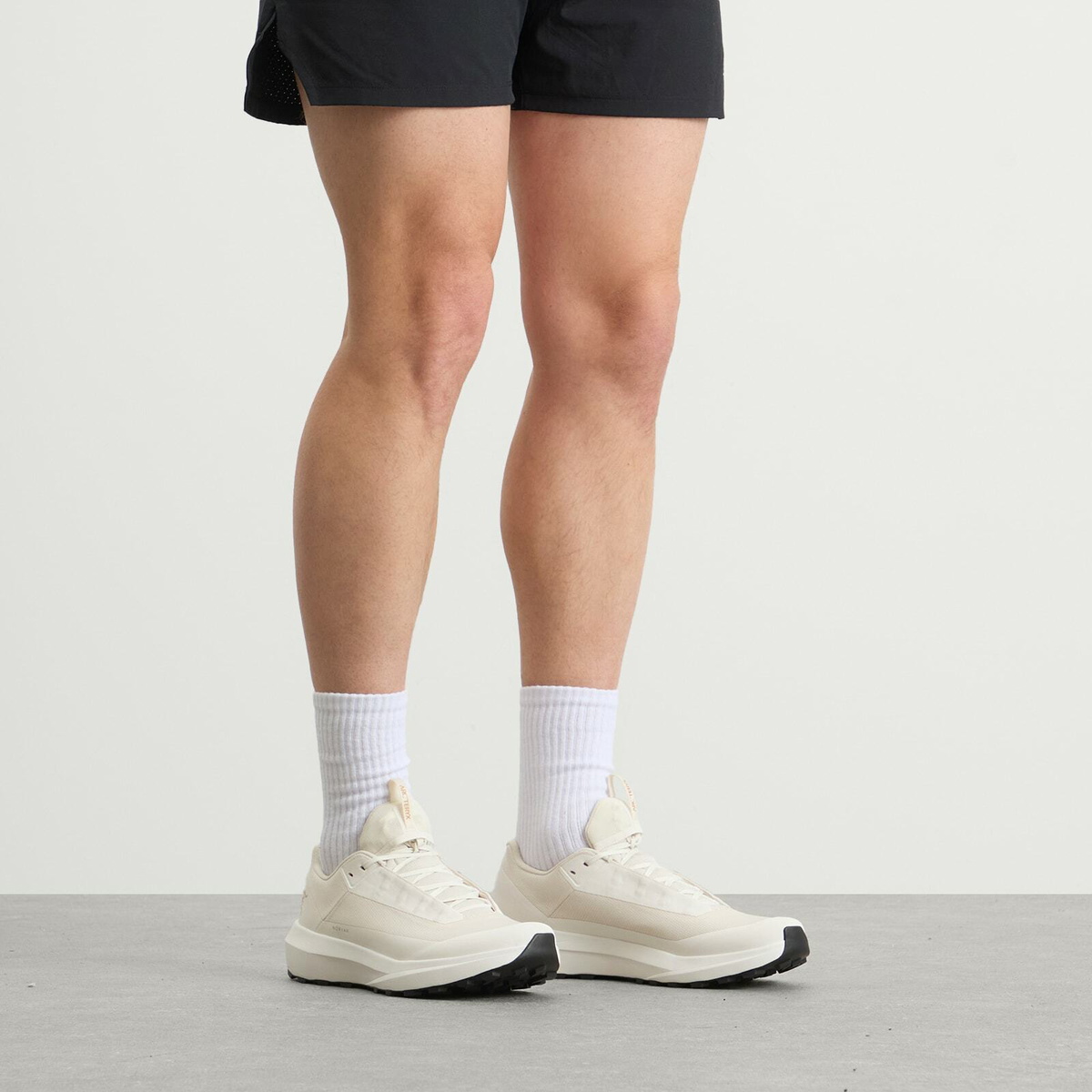 Arc'teryx Men's Norvan LD 4 Gore-Tex Sneakers in Arctic Silk/Arctic Silk