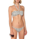Asceno - Verona printed bikini top