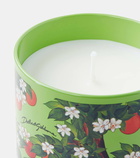 Dolce&Gabbana Casa Arancio Di Sicilia scented candle