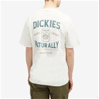Dickies Men's Elliston T-Shirt in Cloud