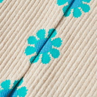 Rostersox Peace Socks in Beige