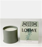 Loewe Home Scents Marihuana Large scented candle