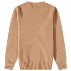 Howlin by Morrison Men's Howlin' Birth of the Cool Crew Knit in Camel