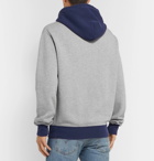 Polo Ralph Lauren - Logo-Embroidered Colour-Block Fleece-Back Cotton-Jersey Hoodie - Gray