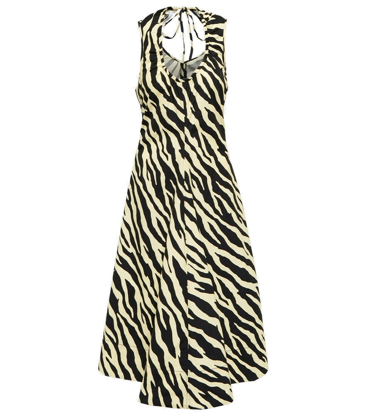 Photo: Proenza Schouler - White Label zebra-print cotton midi dress