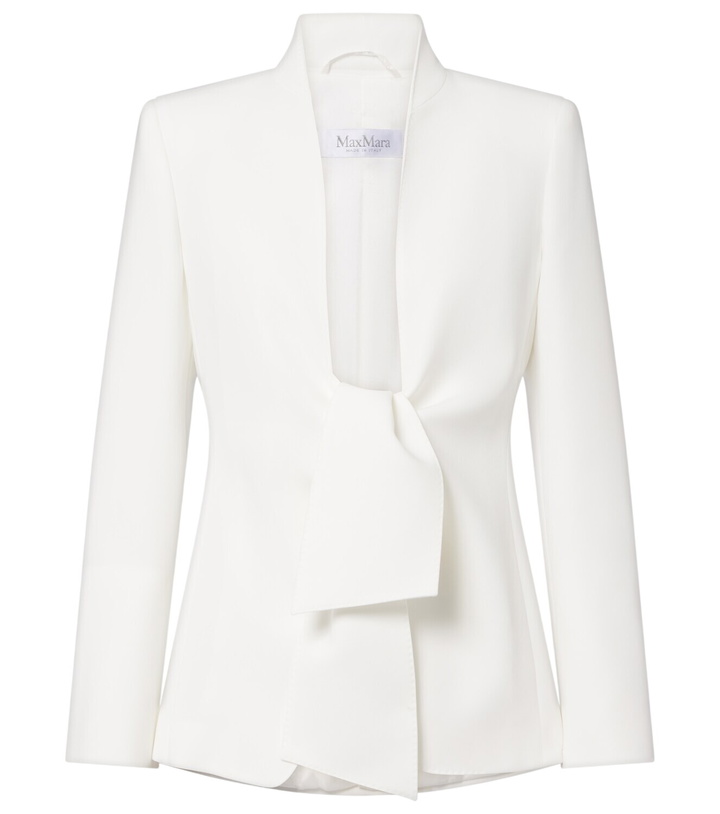 Photo: Max Mara Cady jacket