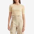 Auralee Women's Cotton Rib Knit T-Shirt in Yellow Beige