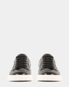 Steve Madden Saylem Sneakers in Black
