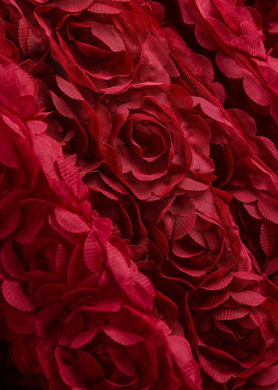 Sister Jane Cabaret Floral-appliquéd Tulle Midi Dress Red