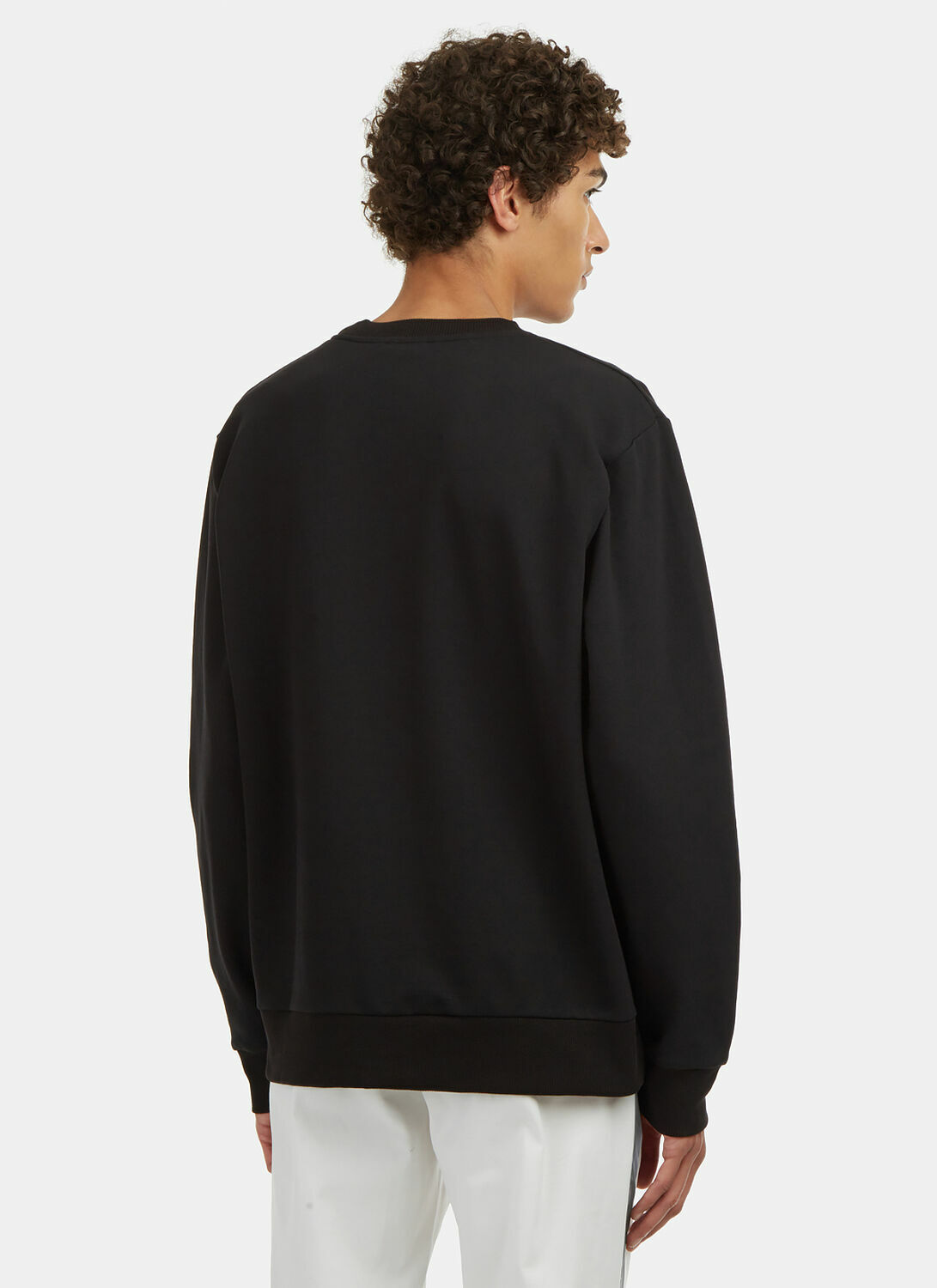 Serapis Crown of Thorns Sweatshirt