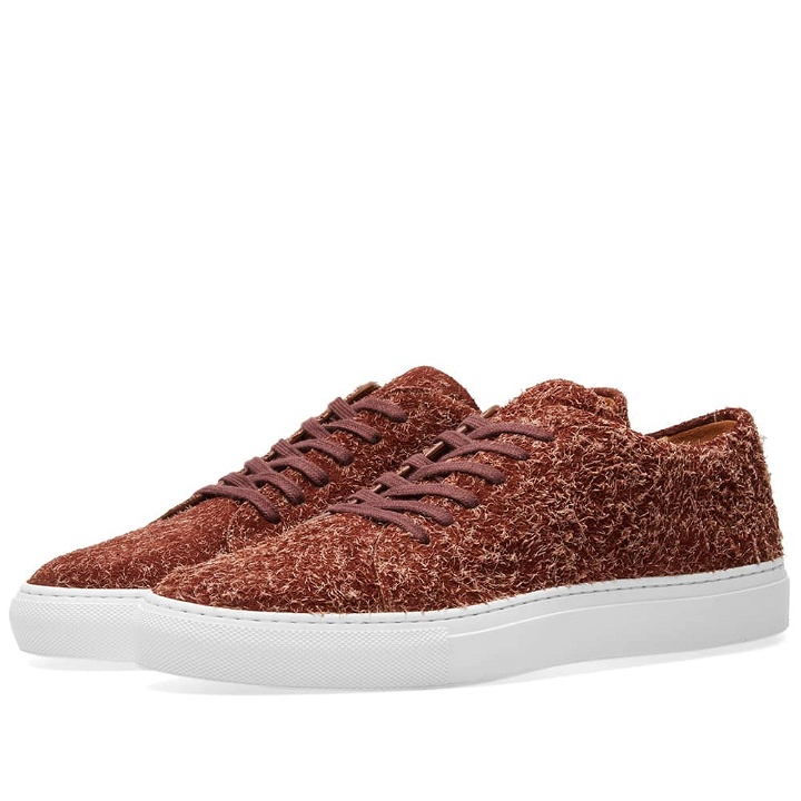 Photo: Common Projects Court Low Suede