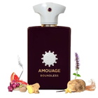 Amouage Unisex Boundless EDP 3.4 oz Fragrances 701666410386