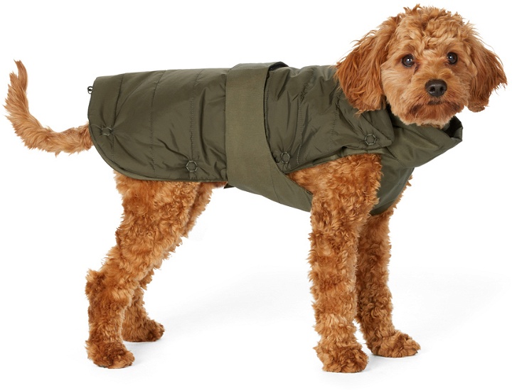 Photo: Moncler Genius Khaki Poldo Dog Couture Edition Vest