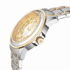 Rebel Williamsburg Silver Dial Mens Watch RB107-3012