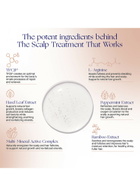 Augustinus Bader The Scalp Treatment 30ml, Conditioner, Naturally Clears and Energizes