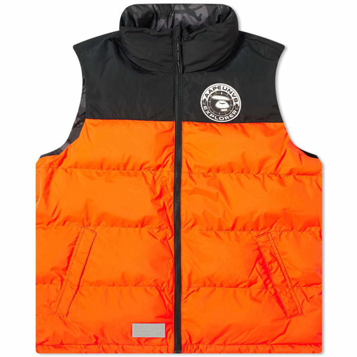 Photo: AAPE Reversible Thinsulate Vest