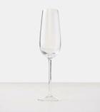 NasonMoretti Tolomeo set of 6 champagne flute glasses
