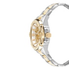 Philipp Plein High-Conic Quartz Ladies The $kull Watch PWNAA1523