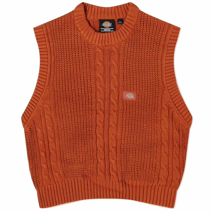Photo: Dickies Women's Mullinville Vest Knit in Bombay Brown