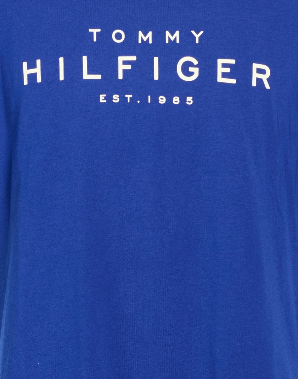Tommy Hilfiger Mens T-shirt in Blue