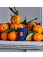 TRUDON 70g Salta Candle