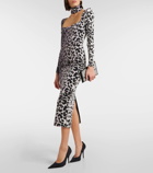 Alex Perry Leopard-print velvet midi dress