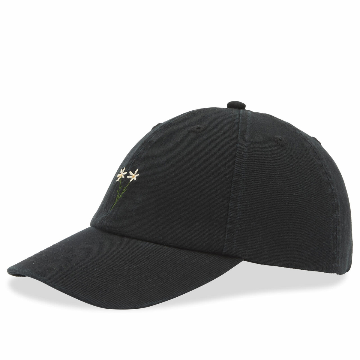 Foret Men's Posy Washed Cap in Black 