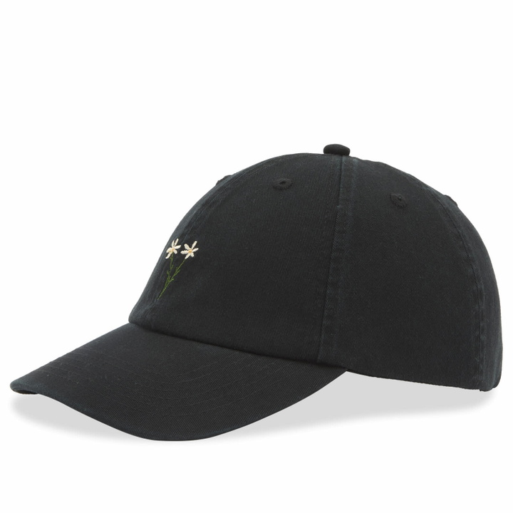 Photo: Foret Men's Posy Washed Cap in Black 