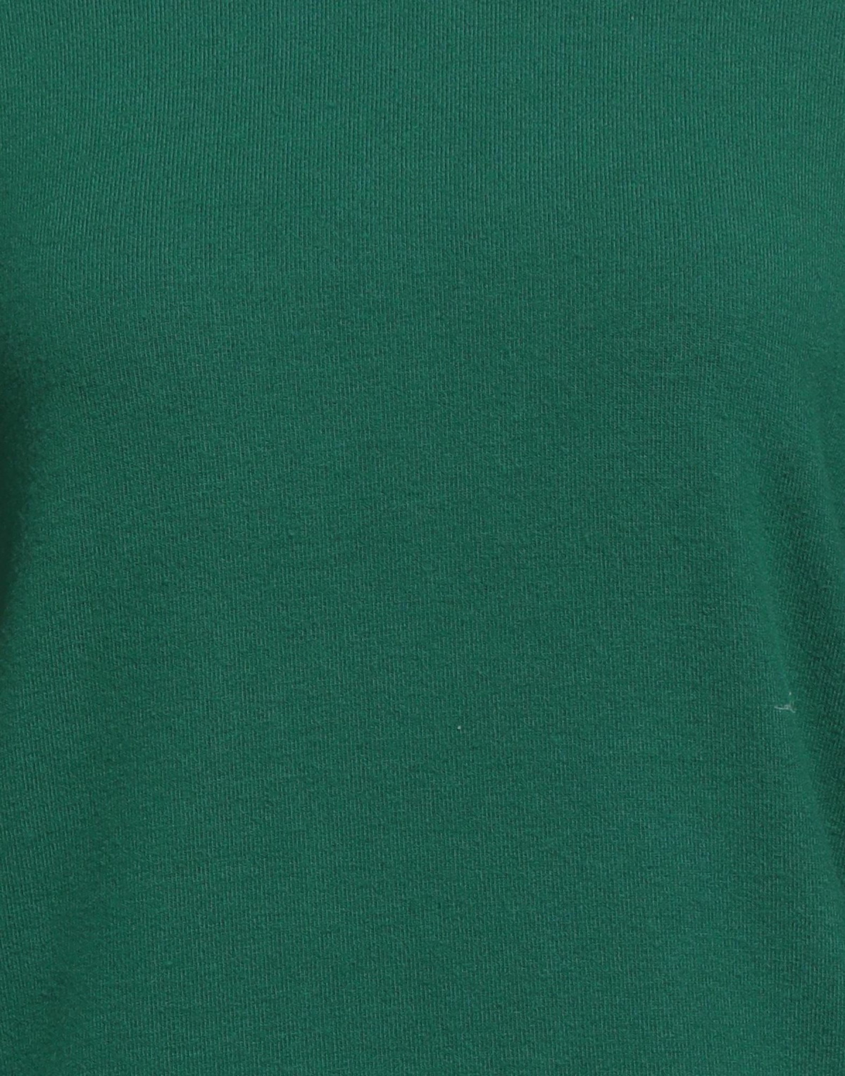 Donni. Womens Turtleneck in Green