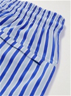 Derek Rose - Mid-Length Striped Swim Shorts - Blue