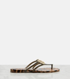 Dolce&Gabbana DG leopard-print thong sandals
