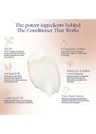 Augustinus Bader The Conditioner 150ml, Conditioner, Fragrance Free, Vegan, Clean