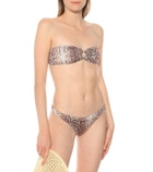 Reina Olga Selvaggia bikini bottoms