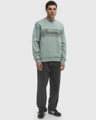 Napapijri B-VANNI C SWEAT Green Mens Sweatshirt