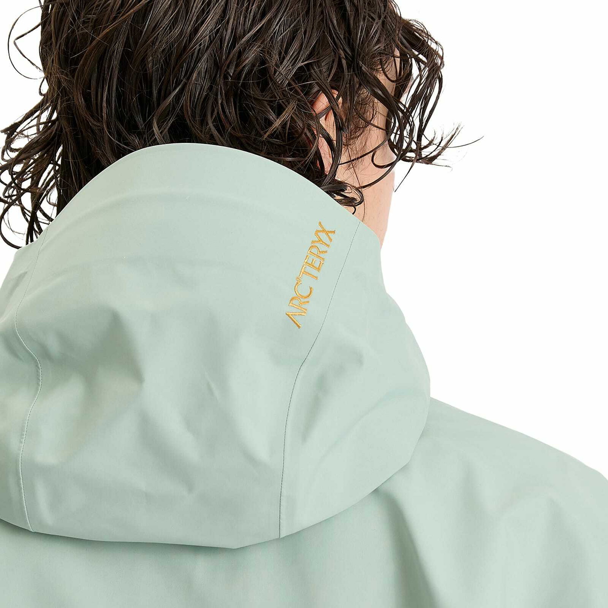 Arc'teryx Men's Beta Gore-Tex Jacket in Trail Magic