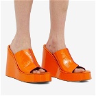 MIISTA Women's Rhea Wedge Sandal in Orange