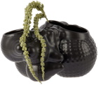 Forma Rosa Studio Black Bubbly Planter