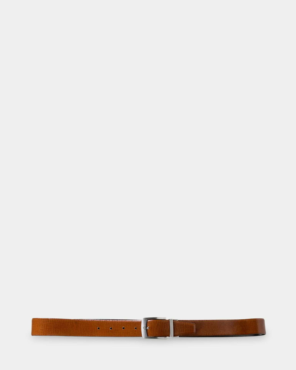 Steve Madden Santo Belt in Tan
