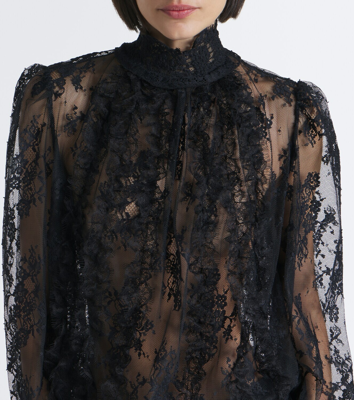 Retrofête Ysolde sheer lace minidress