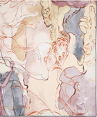 LEMAIRE Multicolor Aquarel Pareo Scarf