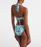 Heidi Klein Kos paisley halterneck bikini top