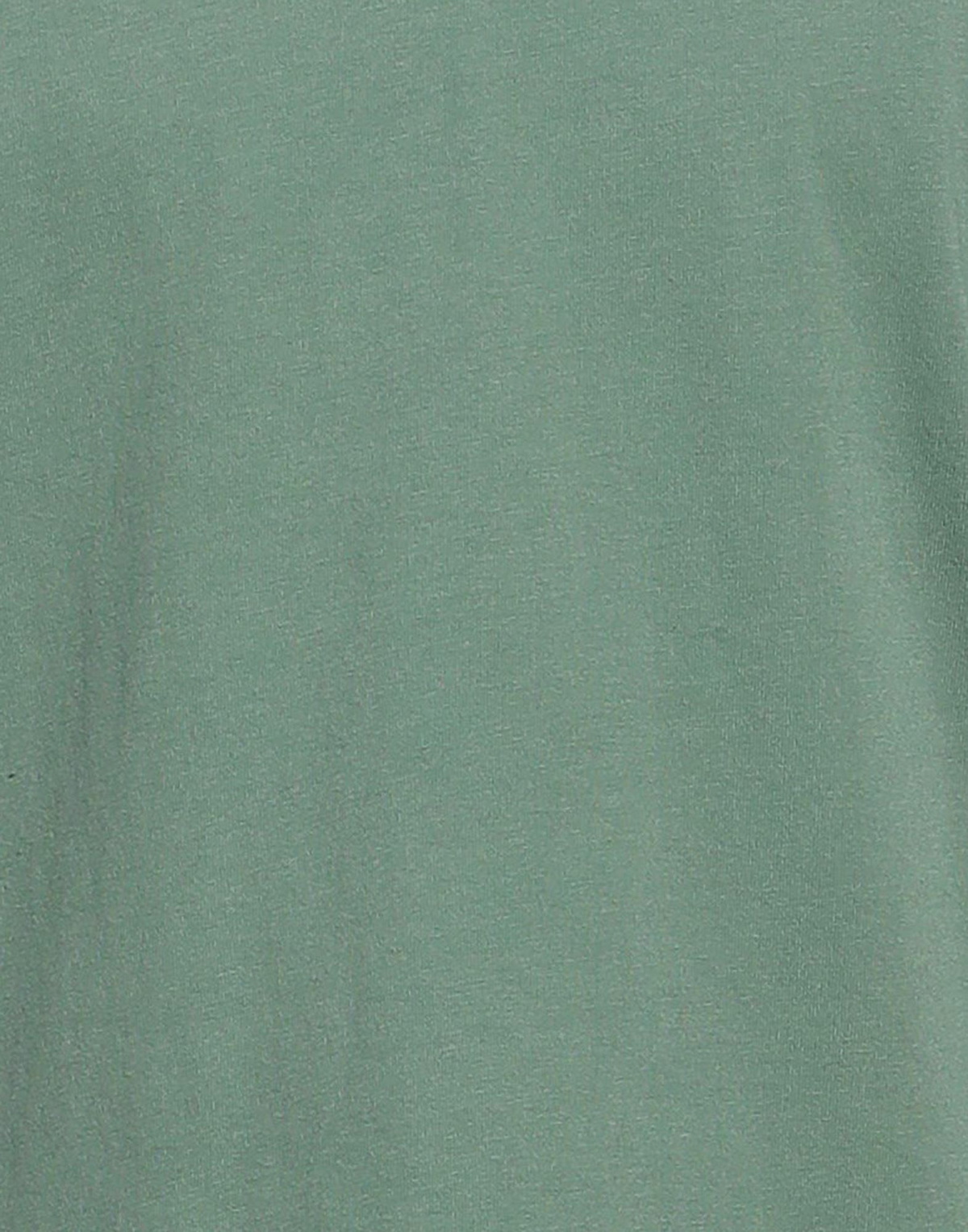 Champion Mens T-shirt Light in Green