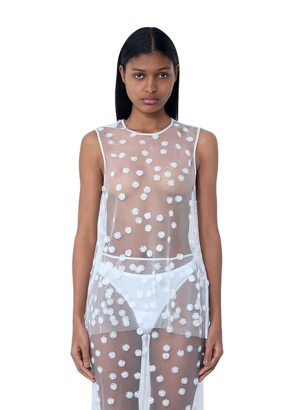 Photo: Cecilie Bahnsen Embroidered Sheer Overlay Dress