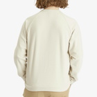 Patagonia Men's Micro D Crewneck Fleece in Pelican